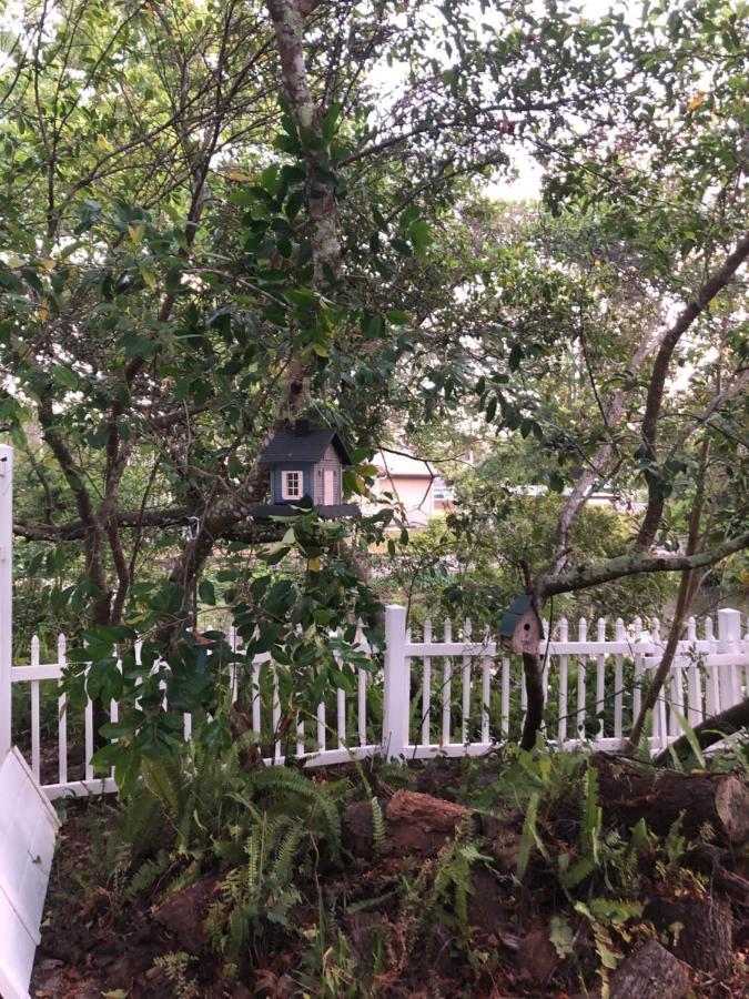 Cozy Cottage River House Weeki Wachee Bagian luar foto