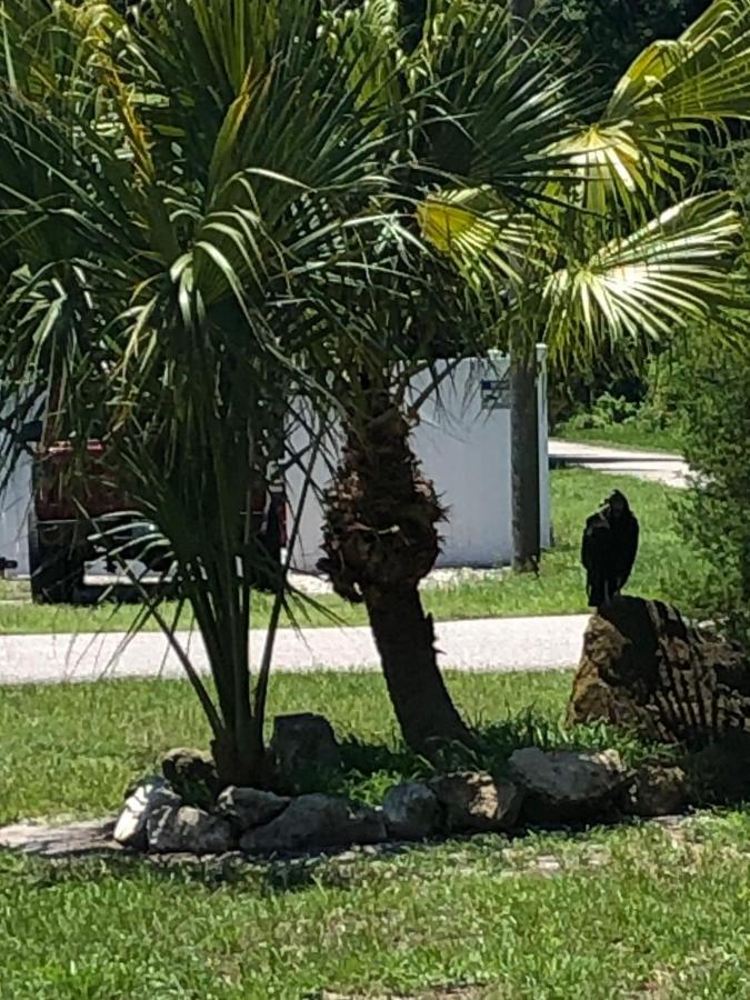 Cozy Cottage River House Weeki Wachee Bagian luar foto